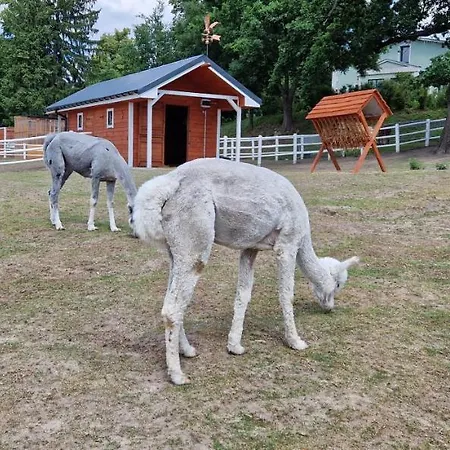 Bauernhof Zakatek W Wiewiecku *