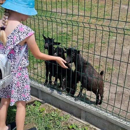 Farmház Zakatek W Wiewiecku Wiewiecko