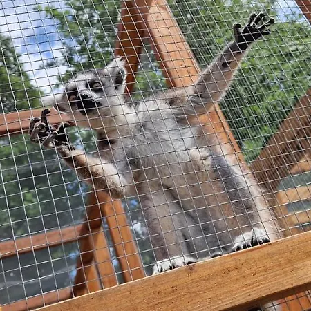 Zakatek W Wiewiecku Wiewiecko