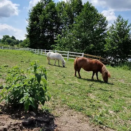 Farmház Zakatek W Wiewiecku