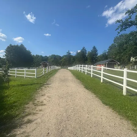 Zakatek W Wiewiecku * Wiewiecko