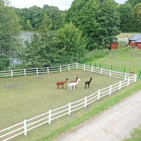Zakatek W Wiewiecku Wiewiecko